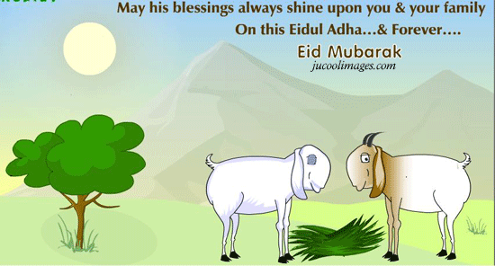 Eid Ul Adha Mubarak :)
