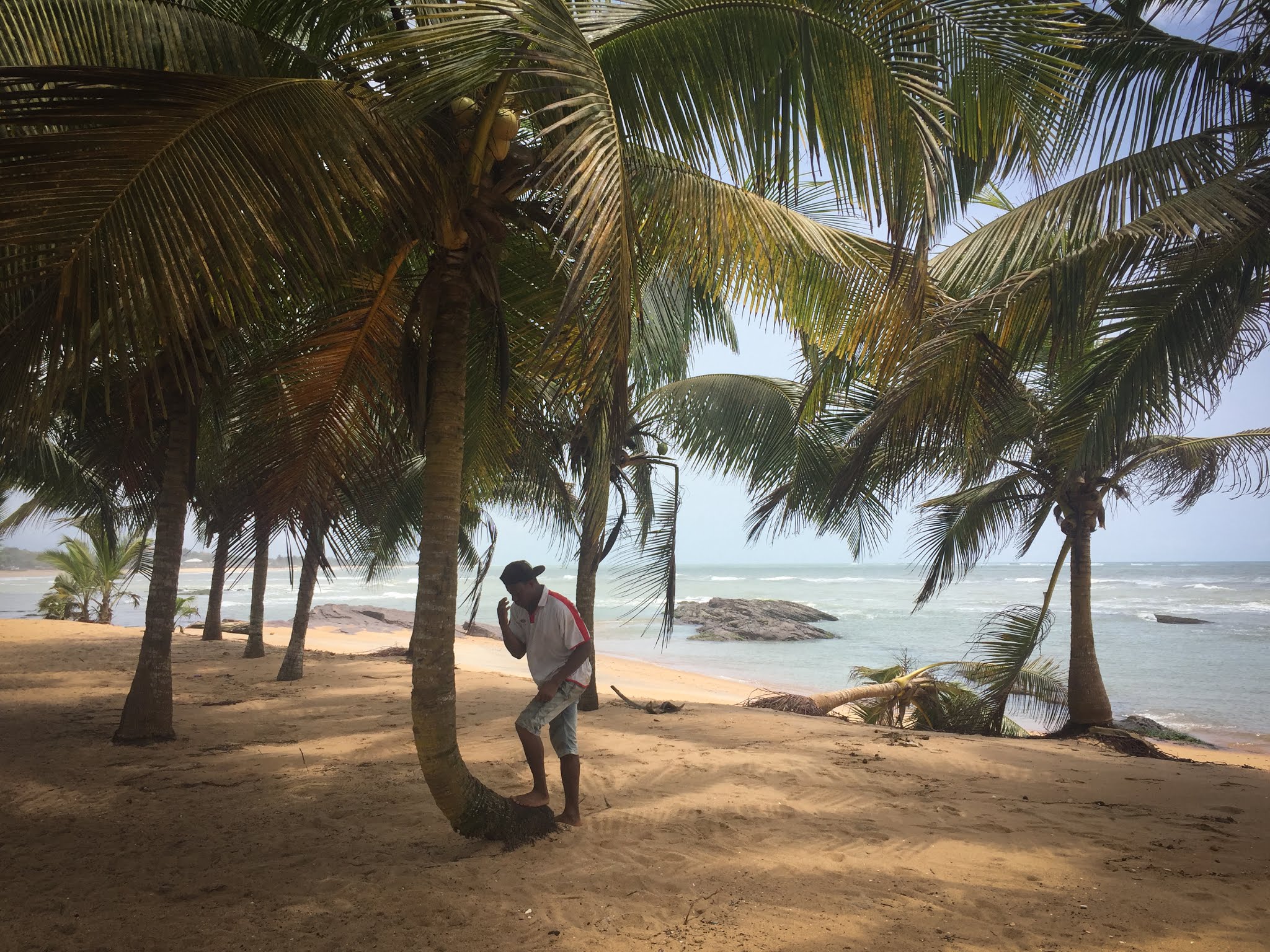 Ko-Sa Beach Resort, Ghana (facandu-si cruce inainte de a urca dupa nuci de cocos)