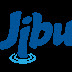 Chief Operating Officer (Coo), Jibu Tanzania