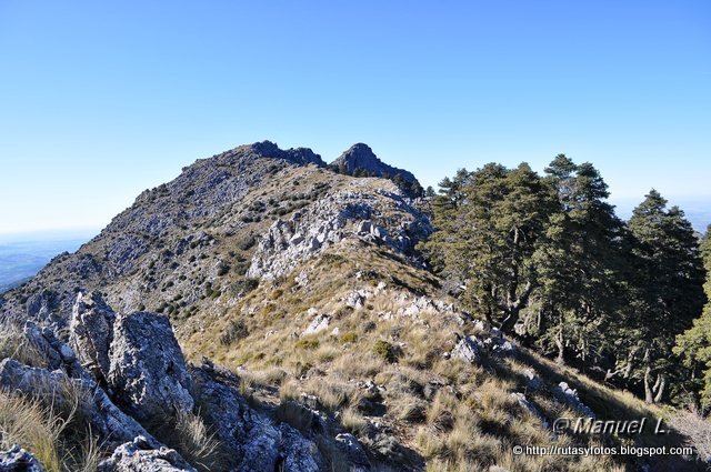 Crestería Sierra del Pinar