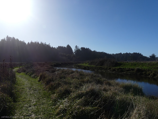 narrower grass trail