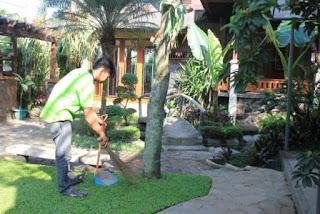 Jasa perawatan halaman taman rumah dan kantor | pangkas rumput dan tanaman pangkas | penyemprotan dan pemupukan