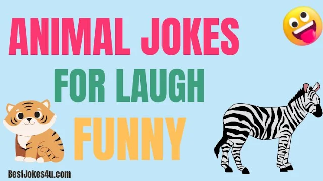 Animal jokes