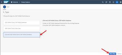 Clone SAP HANA Database Instance via Template based cloning