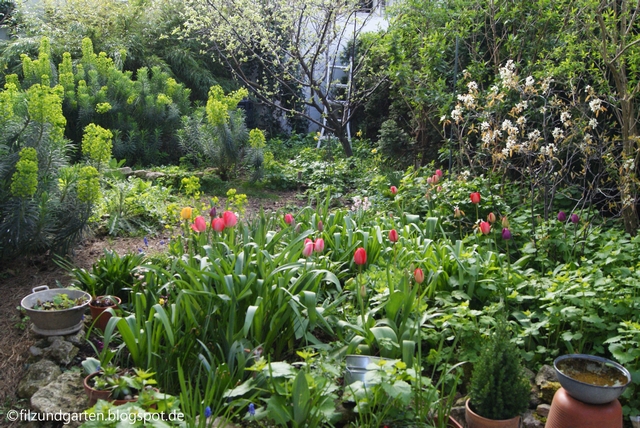 Blick in den Garten Mitte April