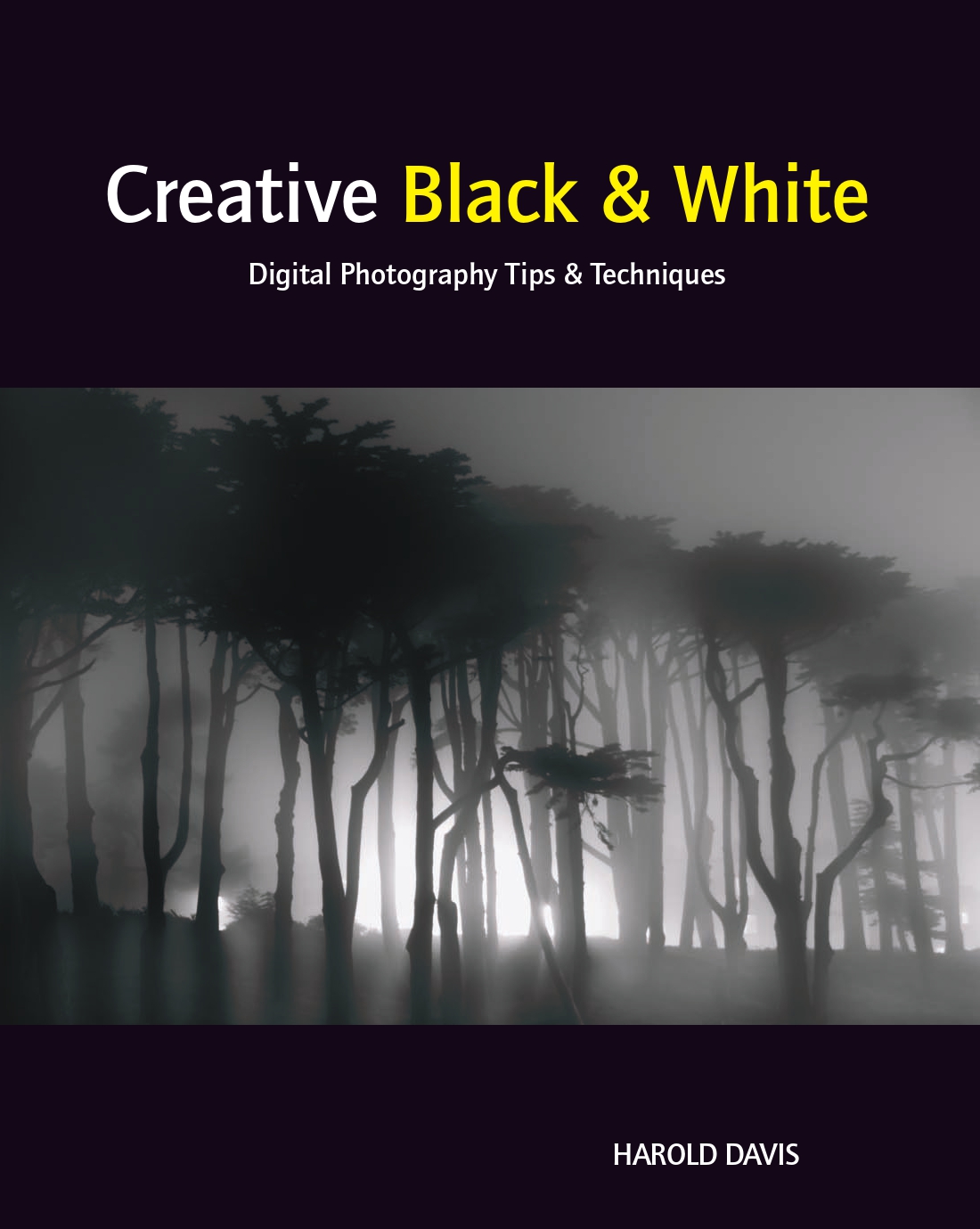 Creative Black and White - Digital Photography Tips and Techniques