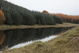 Neilston Pad Glasgow