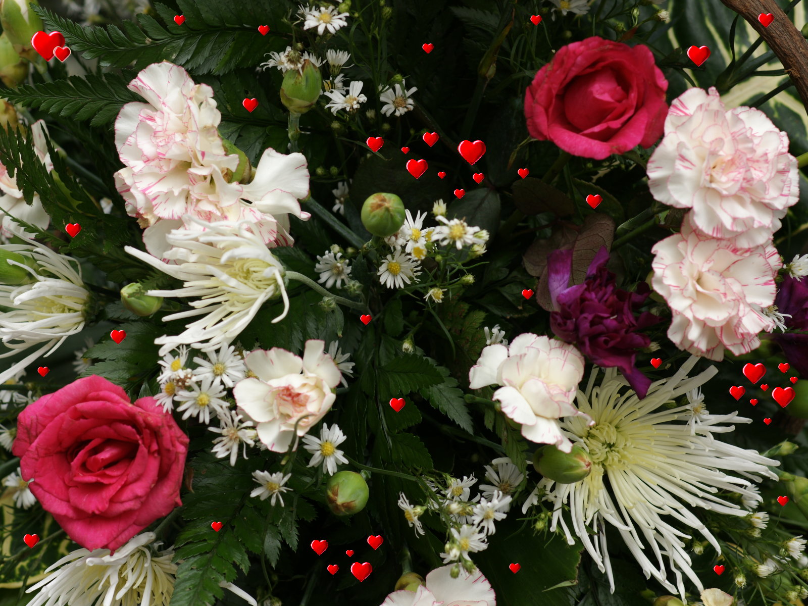 Beautiful Bouquet Of Different Flowers Close Up stock ...