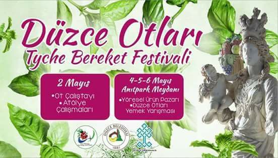 4.Düzce Otları Tyche Bereket Festivali Programı 