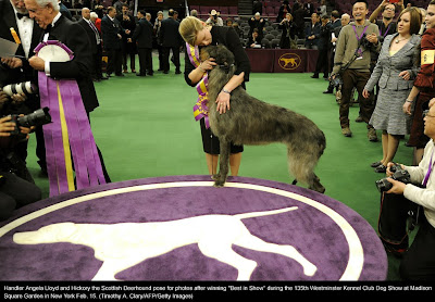 135th Westminster Kennel Club Dog Show at Madison Square Garden in New York City