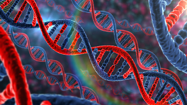 Oligonucleotide Synthesis Market