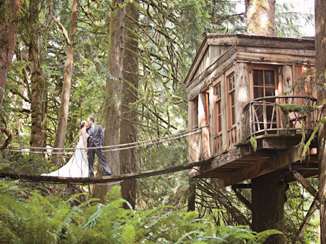 Treehouse Wedding