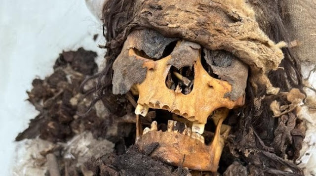 Το κεφάλι μίας γυναικείας μούμιας που βρέθηκε στο Περού. [Credit: Ł. Majchrzak]