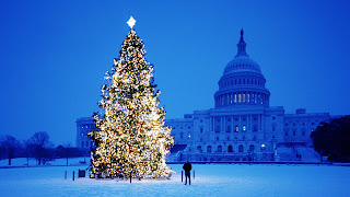 Christmas Tree Washington Winter Landscape Wallpaper