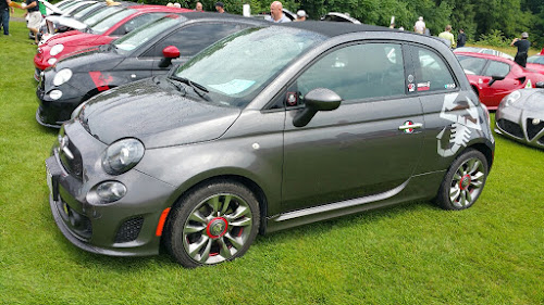 Abarths at Freakout