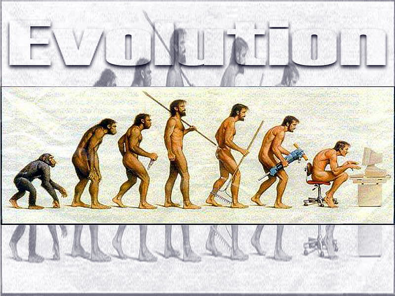 evolucion del hombre. evolucion del hombre.