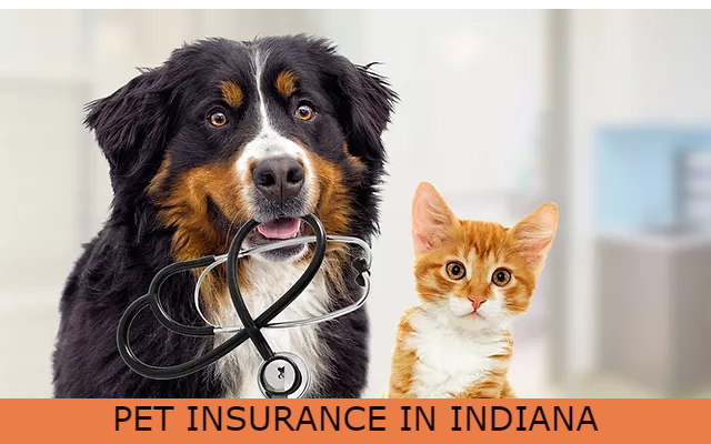 Pet Insurance Indiana