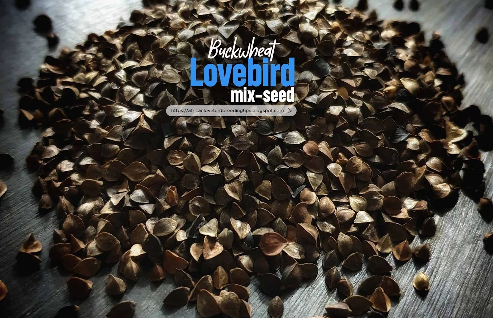 seed mix for African lovebirds