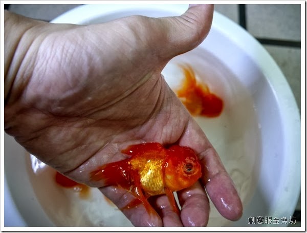 3_thumb