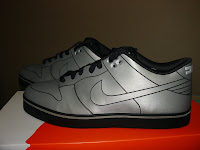 Nike Dunk 6.0 Delorean