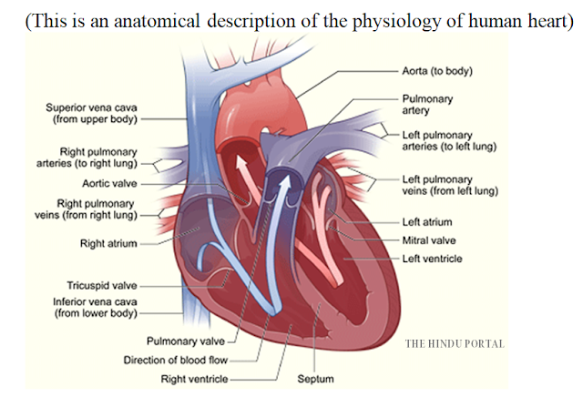 Cow and Cardiac health Connection by Rig Veda 