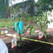 View album