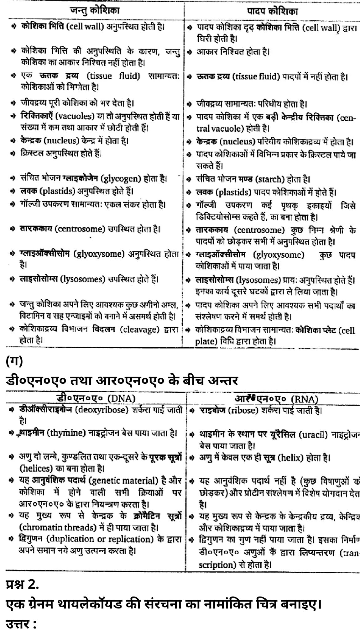 कक्षा 11 जीव विज्ञान अध्याय 8 के नोट्स हिंदी में एनसीईआरटी समाधान,   class 11 Biology Chapter 8,  class 11 Biology Chapter 8 ncert solutions in hindi,  class 11 Biology Chapter 8 notes in hindi,  class 11 Biology Chapter 8 question answer,  class 11 Biology Chapter 8 notes,  11   class Biology Chapter 8 in hindi,  class 11 Biology Chapter 8 in hindi,  class 11 Biology Chapter 8 important questions in hindi,  class 11 Biology notes in hindi,  class 11 Biology Chapter 8 test,  class 11 BiologyChapter 8 pdf,  class 11 Biology Chapter 8 notes pdf,  class 11 Biology Chapter 8 exercise solutions,  class 11 Biology Chapter 8, class 11 Biology Chapter 8 notes study rankers,  class 11 Biology Chapter 8 notes,  class 11 Biology notes,   Biology  class 11  notes pdf,  Biology class 11  notes 2021 ncert,  Biology class 11 pdf,  Biology  book,  Biology quiz class 11  ,   11  th Biology    book up board,  up board 11  th Biology notes,  कक्षा 11 जीव विज्ञान अध्याय 8, कक्षा 11 जीव विज्ञान का अध्याय 8 ncert solution in hindi, कक्षा 11 जीव विज्ञान  के अध्याय 8 के नोट्स हिंदी में, कक्षा 11 का जीव विज्ञान अध्याय 8 का प्रश्न उत्तर, कक्षा 11 जीव विज्ञान अध्याय 8 के नोट्स, 11 कक्षा जीव विज्ञान अध्याय 8 हिंदी में,कक्षा 11 जीव विज्ञान  अध्याय 8 हिंदी में, कक्षा 11 जीव विज्ञान  अध्याय 8 महत्वपूर्ण प्रश्न हिंदी में,कक्षा 11 के जीव विज्ञानके नोट्स हिंदी में,जीव विज्ञान  कक्षा 11 नोट्स pdf,