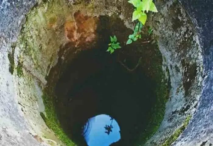 News, National, India, Madhya pradesh, Local-News, Suicide, Suicide Attempt, died, Obituary, Police, Woman jumps into well with 4 children; 3 dies, save herself & daughter