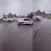 Rare 'fish rain' in Iran, live fish falling from the sky