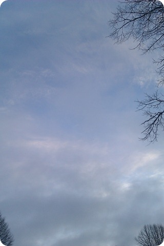 IMAG0678