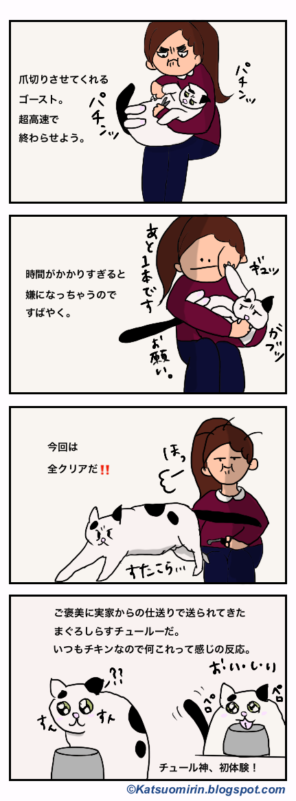 愛猫の爪切りと初チュール