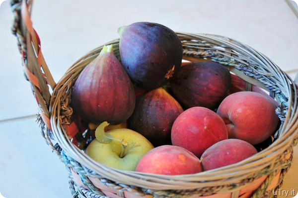 Fresh Picked Fruits