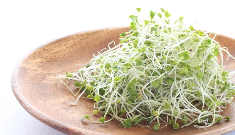 Broccoli Sprouts