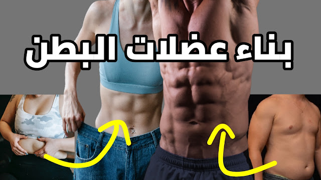 عضلات البطن