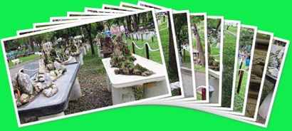 View album