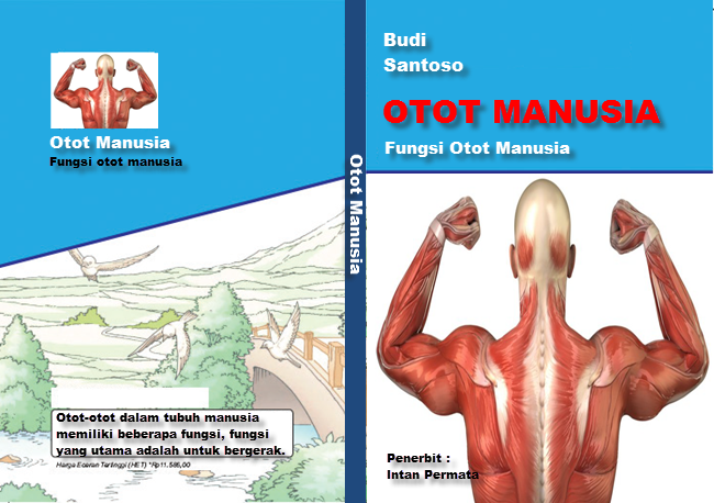 43+ Desain Cover Buku Tentang Otot Manusia