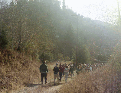 Photographs of a Tour by the Save the Redwoods League at Mill Creek near Crescent City, CA