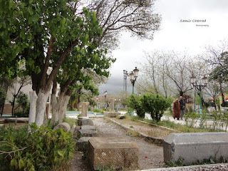 مجموعة من صور مدينة رأس الوادي ملتقطة خلال 2013 Ras eloued photo   المصدر : مدونة بن خضرة مراد سامح  http://benkhadra-mourad.blogspot.com/2013/06/2013-ras-eloued-photo.html#ixzz2XKiPLT4I