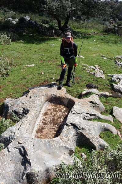 El Cintillo - Sierra Baja de Ubrique - Paso del Bombo - Ubrique - Cañada de los Pernales