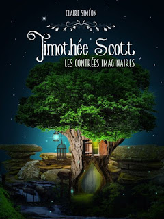 Timothée Scott tome 1 : les contrées imaginaires