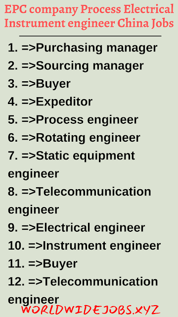 EPC company Process Electrical Instrument engineer China Jobs