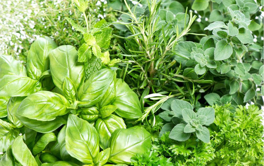 Healing superfoods: 6 Natural antiviral herbs to grow in your home garden