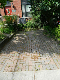 Toronto Dovercourt Park Front Garden Cleanup Before by Paul Jung Gardening Services--a Toronto Gardening Company