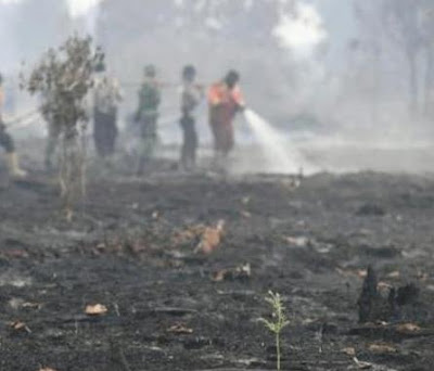 Kebakaran Hutan dan Lahan di Provinsi Riau Dalam Jepretan Kamera