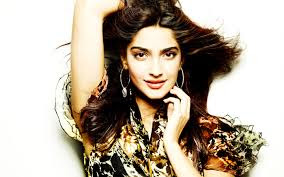  Sonam Kapoor HD Wallpapers with the hot and sexy picture of the actress. 