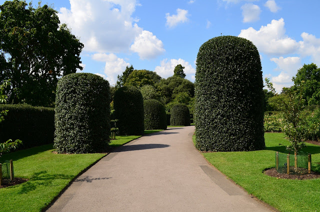 Kew Garden