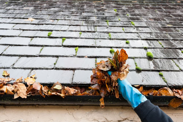 gutter cleaning service