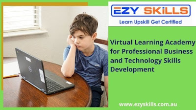 Virtual Learning Academy