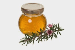 Manuka Honey Acid Reflux - Using Manuka Honey to Treat Acid Reflux