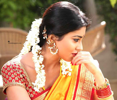 Beautiful telugu heroines hot photos in saree
